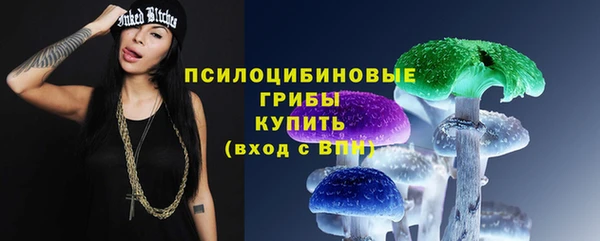 гидра Лиски